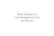 Media Composer 7.0 Color Management (LUTs)