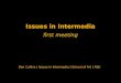 Issues in  Intermedia f irst  m eeting