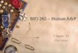 BIO 265 – Human A&P