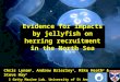 Evidence for impacts by jellyfish on herring recruitment in the North Sea