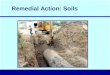 Remedial Action: Soils