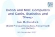 BioSS and MRI: Computers and Cattle, Statistics and Sheep  Iain McKendrick