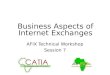 Business Aspects of Internet Exchanges