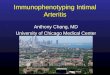 Immunophenotyping Intimal Arteritis