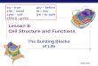 Lesson 8: Cell Structure and Functions