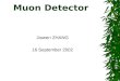 Muon Detector