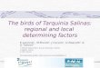 The birds of Tarquinia Salinas: regional and local  determining factors