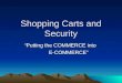 Shopping Carts and Security