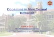 Dopamine in Male Sexual Behavior