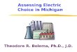 Assessing Electric  Choice in Michigan