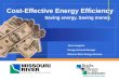 Cost-Effective Energy Efficiency