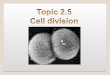 Topic 2.5 Cell division