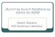Bunch by bunch feedback systems for KEKB