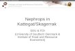 Nephrops in Kattegat/Skagerrak