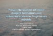 Parameterization of cloud droplet formation and autoconversion in large-scale models