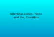 Intertidal Zones, Tides   and the  Coastline