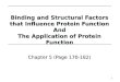 Binding and Structural Factors that Influence Protein Function And