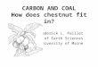 CARBON AND COAL How does chestnut fit in?