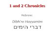 Hebrew: Dibh're Hayyamim דברי הימים