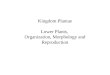Kingdom Plantae Lower Plants,  Organization, Morphology and Reproduction