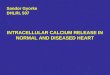 INTRACELLULAR CALCIUM RELEASE IN NORMAL AND DISEASED HEART
