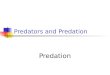 Predators and Predation