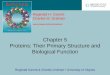 Chapter 5 Proteins: Their Primary Structure and Biological Function
