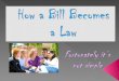 How a Bill Becomes  a Law
