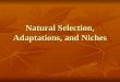 Natural Selection, Adaptations, and Niches