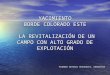 YACIMIENTO BORDE COLORADO ESTE  LA REVITALIZACIÓN DE UN CAMPO CON ALTO GRADO DE EXPLOTACIÓN