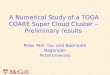 A Numerical Study of a TOGA COARE Super Cloud Cluster – Preliminary results
