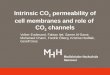 Intrinsic CO 2  permeability of cell membranes and role of  CO 2  channels