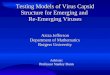 Testing Models of Virus Capsid Structure for Emerging and  Re-Emerging Viruses