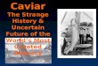 Caviar The Strange History & Uncertain Future of the Worldâ€™s Most Coveted Delicacy