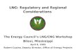 LNG: Regulatory and Regional Considerations