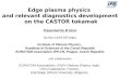 Edge plasma physics  and relevant diagnostics development  on the CASTOR tokamak