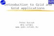 Introduction to Grid and Grid applications