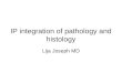IP integration of pathology and histology