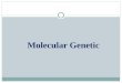 Molecular Genetic