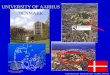 UNIVERSITY OF AARHUS DENMARK