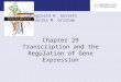 Chapter 29 Transcription and the Regulation of Gene Expression