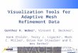 Visualization Tools for Adaptive Mesh Refinement Data