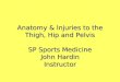 Anatomy & Injuries to the Thigh, Hip and Pelvis