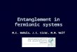 Entanglement in fermionic systems