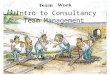 Intro to Consultancy Team Management