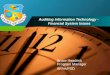Auditing Information Technology -  Financial System Issues