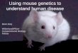 Using mouse genetics to understand human disease