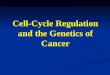 Cell-Cycle Regulation and the Genetics of Cancer