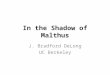 In the Shadow of Malthus
