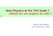 New Physics at the TeV Scale ? (What do we expect at LHC  ?)